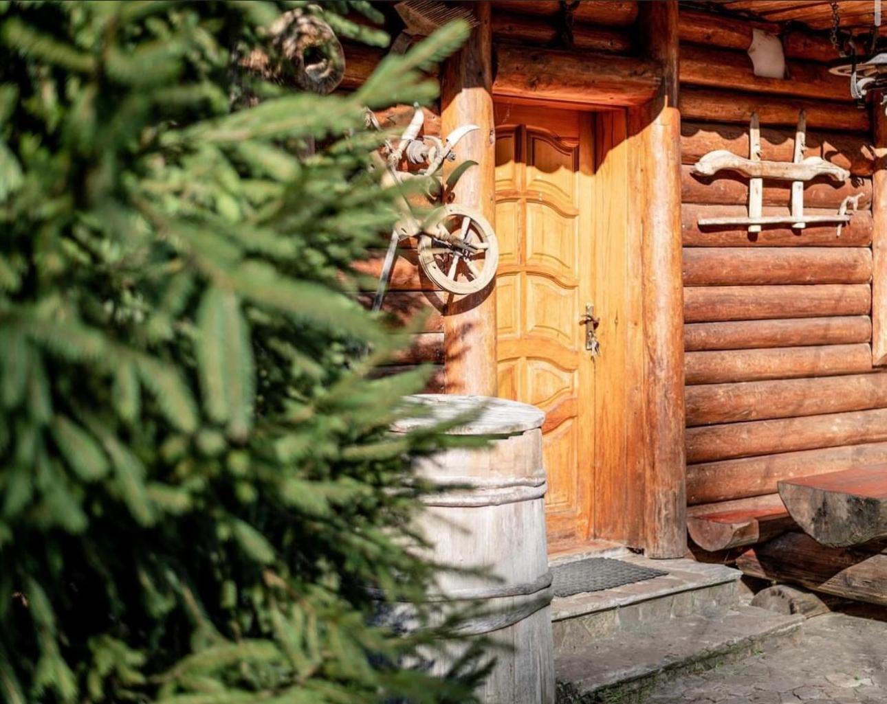 Будинок Художника Synevyrsʼka Polyana Exterior foto