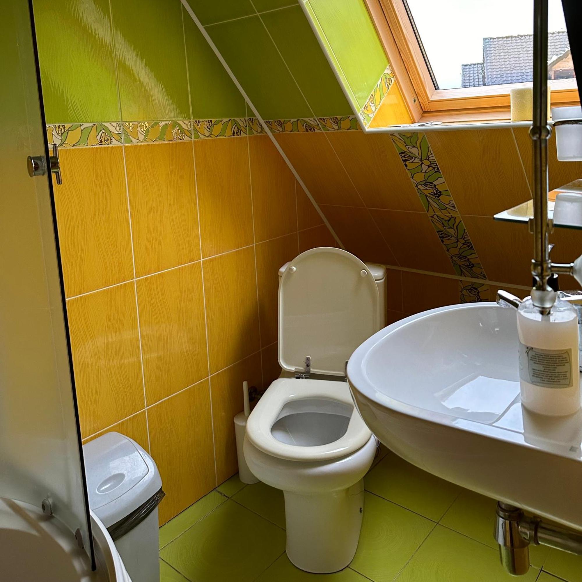 Будинок Художника Synevyrsʼka Polyana Habitación foto